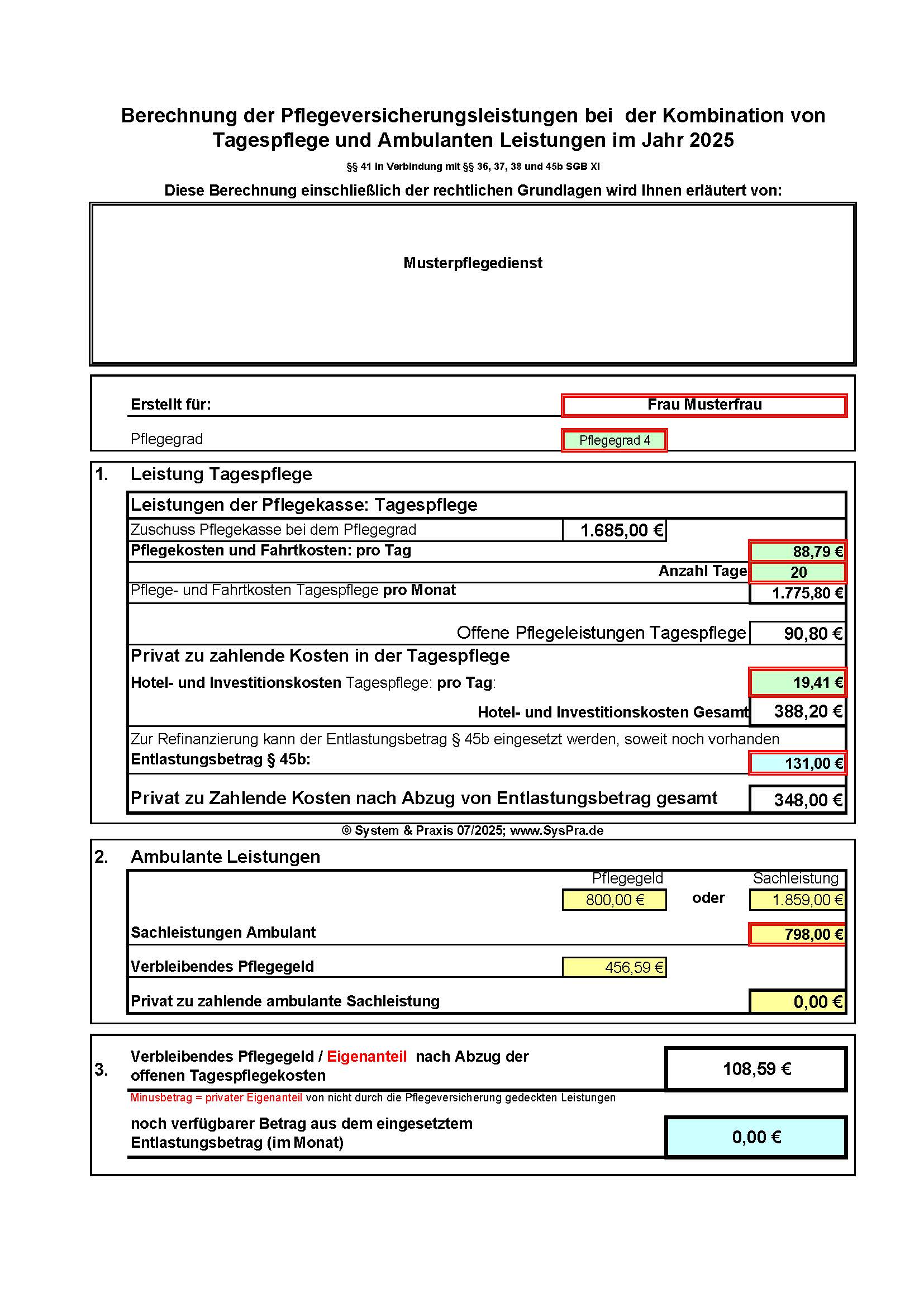 Tagespflegerechner 2025 – Bild 4